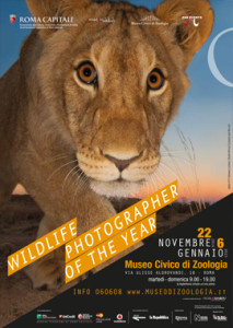 Wildlife Photographer of the Year, locandina